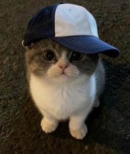 DikssOffc